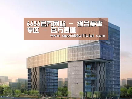 案例展示四