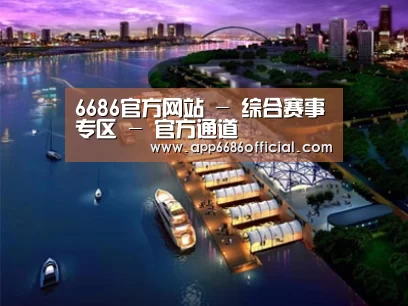 案例展示八