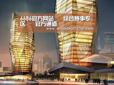 案例展示三